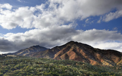 Mount Diablo: Your Local and Easy Escape from Danville, CA